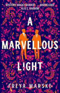 A Marvellous Light - A dazzling, queer romantic fantasy