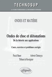 Ondes de choc et détonations - de la théorie aux applications (niveau C)