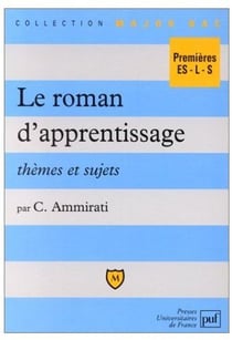Le roman d'apprentissage, thèmes et sujets