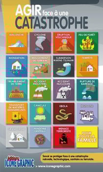 DESTOCKAGE Livre "Agir face à une catastrophe