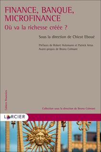 Finance, banque, microfinance : où va la richesse créée ?