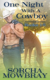 One Night With A Cowboy (Books 1-5) - One Night With A Cowboy