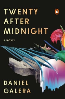 Twenty After Midnight - A Novel