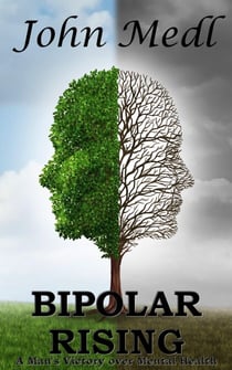 Bipolar Rising: A Man's Victory Over Mental Health - Workings of a Bipolar Mind, #7