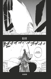 Bleach - T46 - Chapitre 399 - DEICIDE