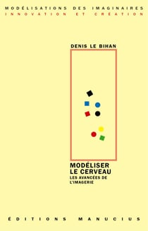 Modéliser le cerveau - Les avancées de l'imagerie