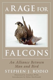 A Rage for Falcons - An Alliance Between Man and Bird