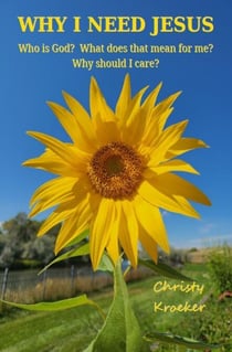 Why I Need Jesus:  Who Is God?  What Does that Mean for Me?  Why Should I Care?