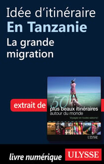 Idée d'itinéraire en Tanzanie : la grande migration