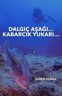 Diver Down... Bubble Up