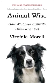 Animal Wise - How We Know Animals Think and Feel