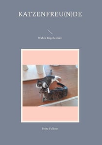 Katzenfreu(n)de - Wahre Begebenheit