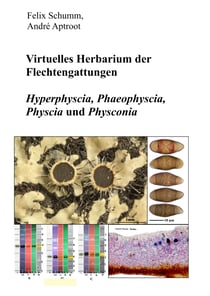 Virtuelles Herbarium der Flechtgattungen - Hyperphyscia, Phaeophyscia, Physcia und Physconia