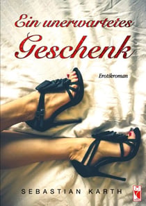 Ein unerwartetes Geschenk - Erotikroman
