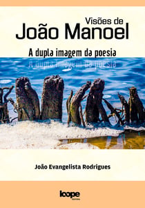 Visões de João Manoel - a dupla imagem da poesia