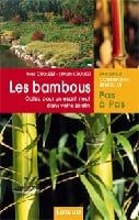 Les bambous - optez pour un esprit neuf dans votre jardin