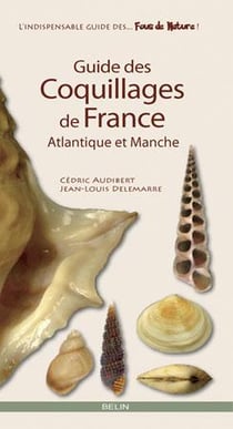 Coquillages des fonds côtiers atlantique