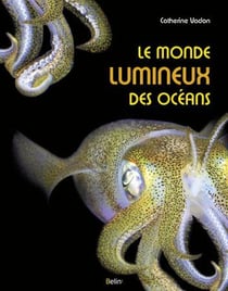 Le monde lumineux des océans