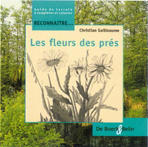 Reconnaître les fleurs des près