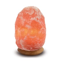 Lampe en Cristal de Sel - Pièce de 2 à 3 kg