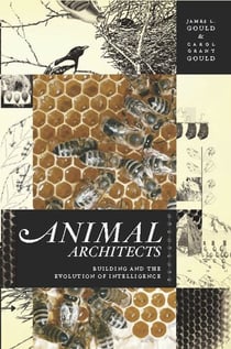 Animal Architects - Building and the Evolution of Intelligence