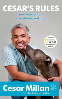 Cesar's Rules - Your Way To Train A Well-Behaved Dog