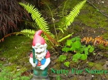 Nutty For Nature - Vineyard Views, #3
