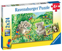 2X24P MIGNONS KOALAS ET PANDAS