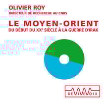 Le Moyen-Orient. Du début du XXe siècle à la guerre d'Irak