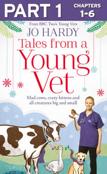 Tales from a Young Vet: Part 1 of 3 - Mad cows, crazy kittens, and all creatures big and small