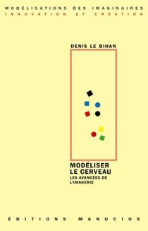 Modéliser le cerveau - Les avancées de l'imagerie