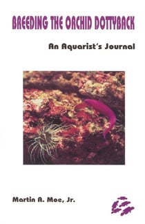 Breeding the Orchid Dottyback, Pseudochromis Fridmani - An Aquarist's Journal