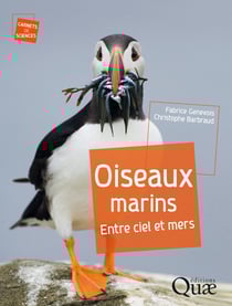 Oiseaux marins - Entre ciel et mers
