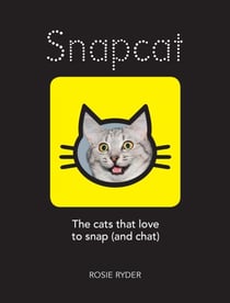 Snapcat - The Cats Who Love to Snap (and Chat)