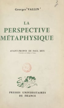 La perspective métaphysique