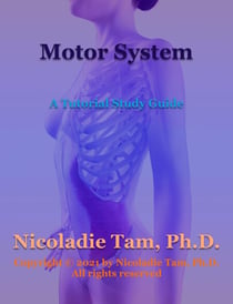 Motor System: A Tutorial Study Guide - Science Textbook Series