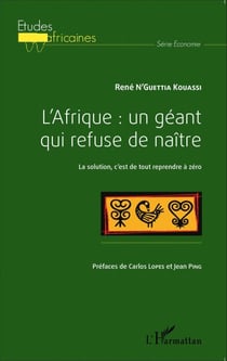 L'Afrique : un géant qui refuse de naître - La solution, c'est de tout reprendre à zéro