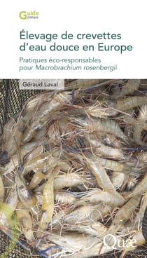 Élevage de crevettes d’eau douce en Europe - Pratiques éco-responsables pour Macrobrachium rosenbergii