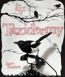 The Art of Taxidermy