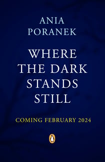 Where the Dark Stands Still - A sweeping, gothic YA fairytale romance