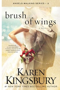 Brush of Wings - A Novel