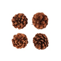 4 pommes de pin - 6 cm