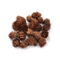 20 mini pommes de pin