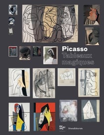 Picasso - tableaux magiques