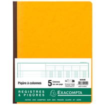 Piqûre 5 colonnes sur 1 page Exacompta - Couleur aléatoire - 32 x 25 cm - 80 pages