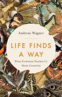 Life Finds a Way - What Evolution Teaches Us About Creativity