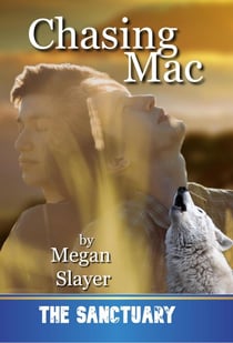 Chasing Mac - Sanctuary, #13
