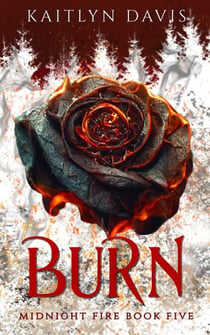 Burn (Midnight Fire Series Book Five) - Midnight Fire, #5