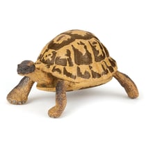 Figurine Papo - Tortue d'hermann