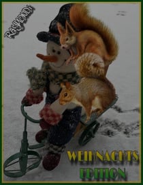WEIHNACHTS--EDITION--2017 - ***ein_MIX_zur_BESINNLICHKEIT***